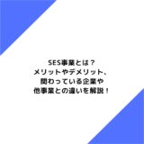 SES事業とは？メリットやデメリット、関わっている企業や他事業との違いを解説！